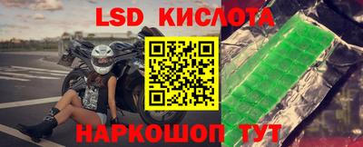 прущие крисы Партизанск